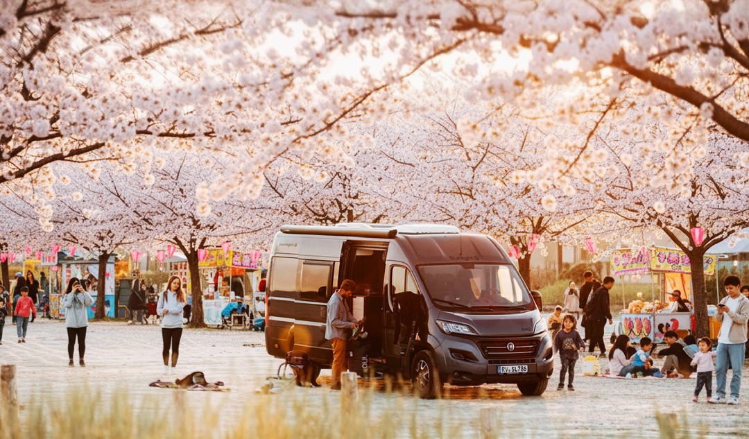 櫻花祭露營推薦｜全台賞櫻營區懶人包，開著露營車追櫻去！